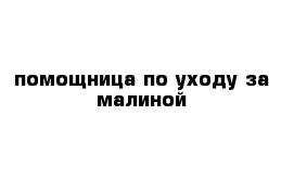 помощница по уходу за малиной